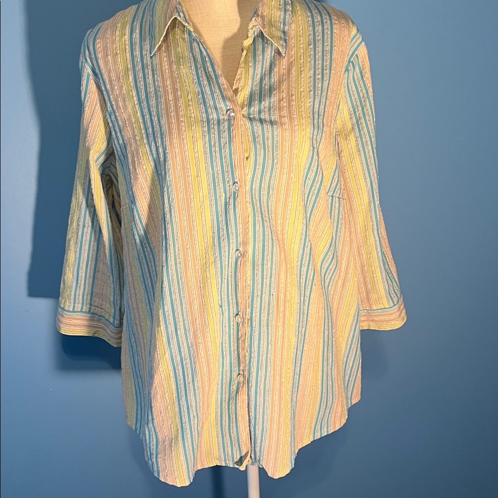 Kim Rogers Pastel Striped Button Down Shirt